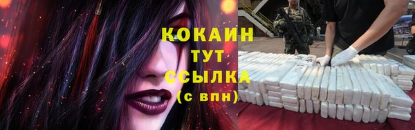 крисы Арсеньев