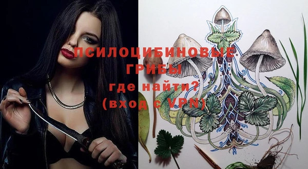 прущий лед Аркадак