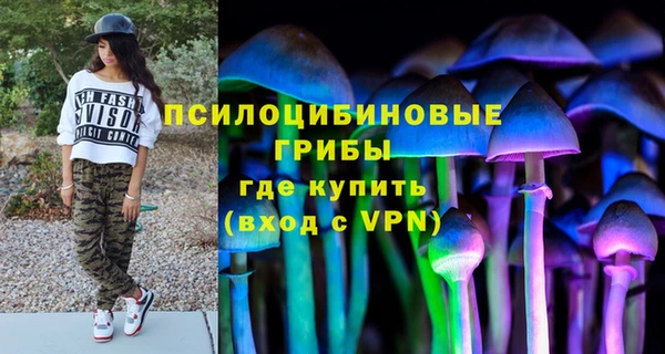 крисы Арсеньев