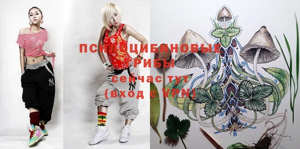 крисы Арсеньев