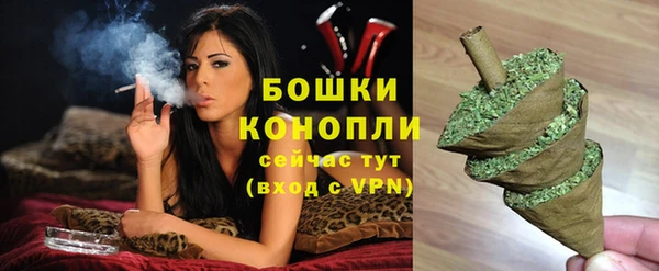 крисы Арсеньев